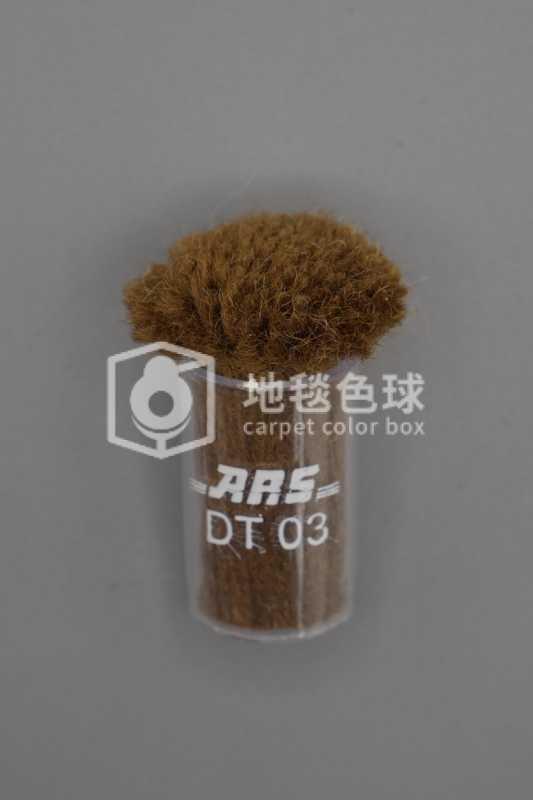 ARS DT03