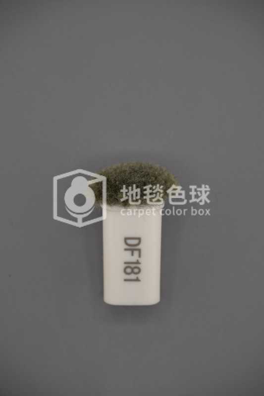 DF181