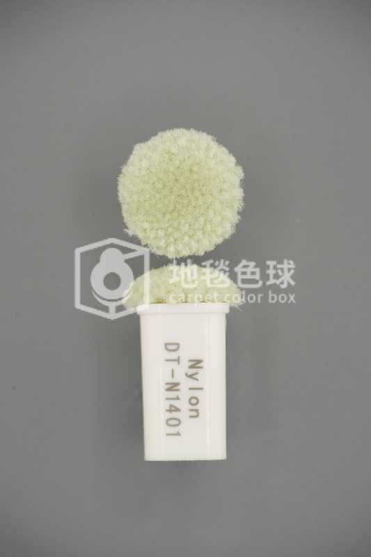 DT N1401
