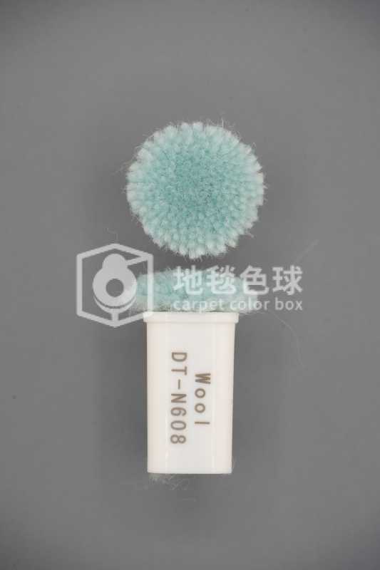 DT N608