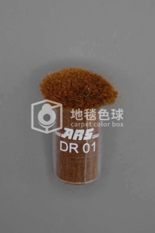 ARS DR01