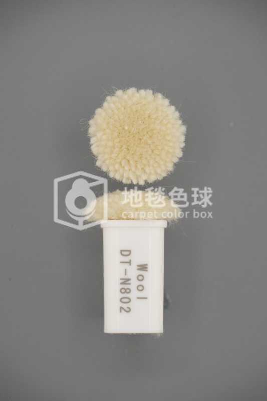 DT N802
