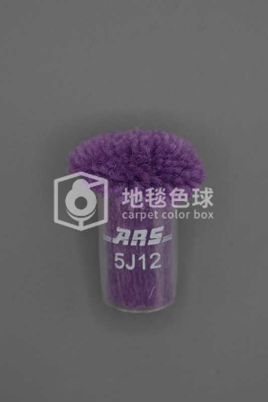 ARS 5J12