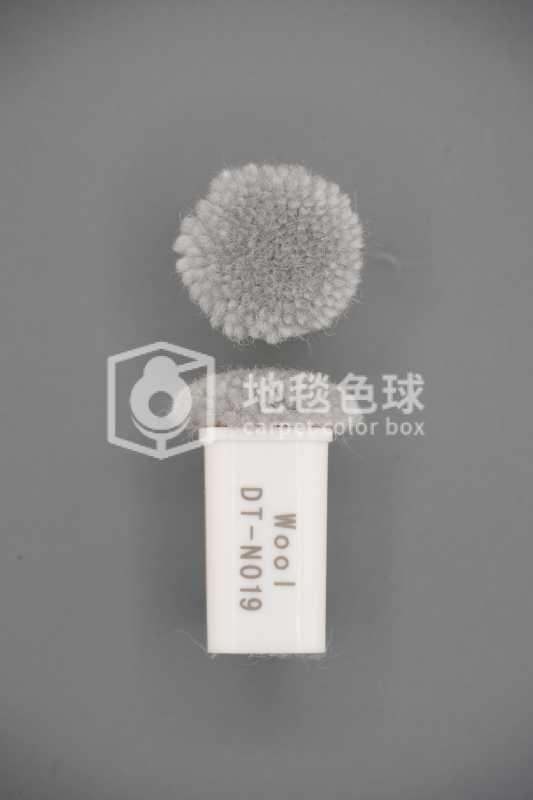 DT N019
