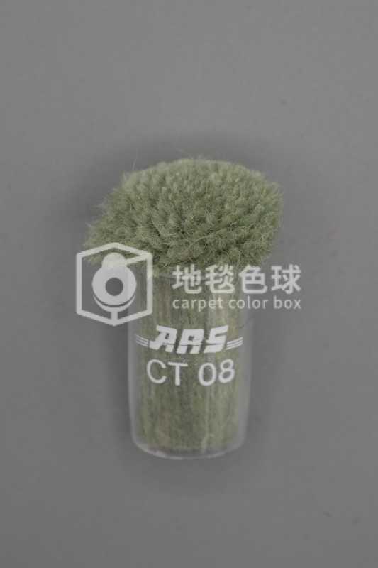 ARS CT08