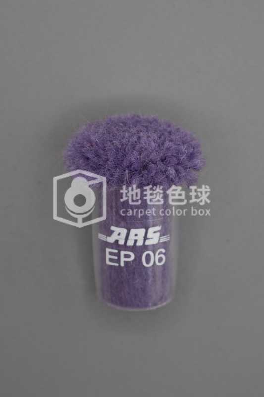 ARS EP06