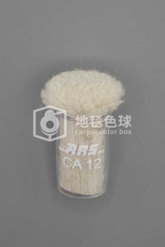 ARS CA12