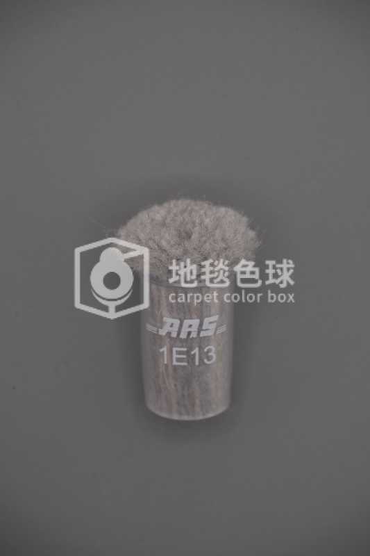 ARS 1E13