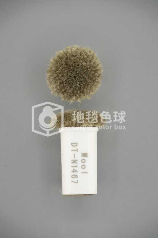 DT N1467