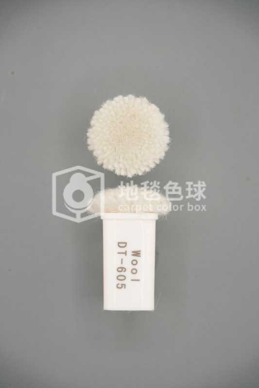 DT 605