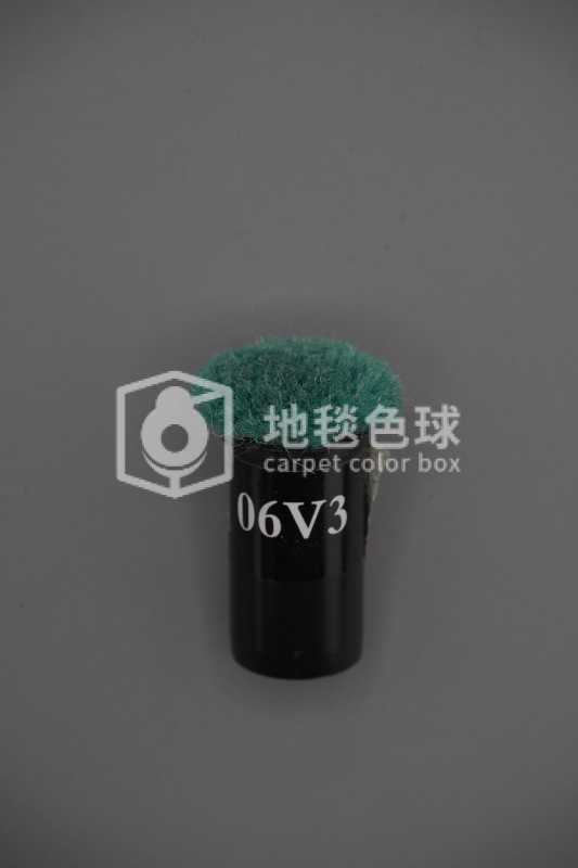 06V3