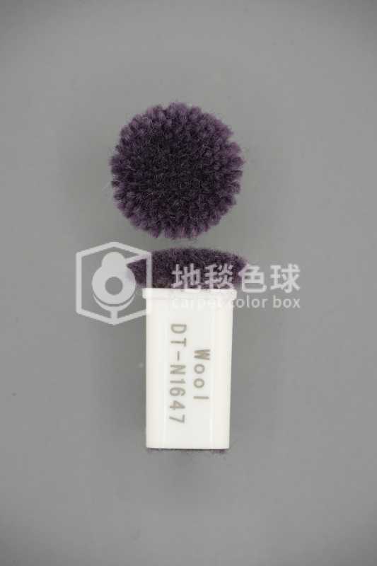 DT N1647
