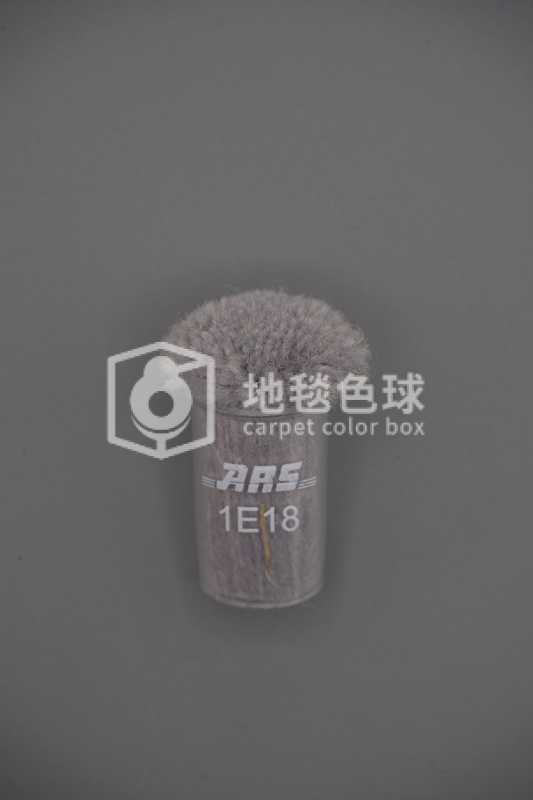 ARS 1E18