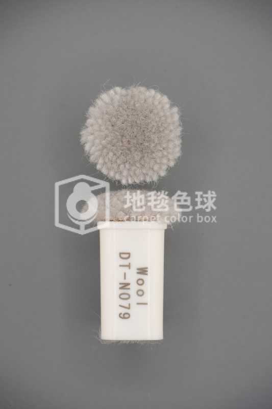 DT N079