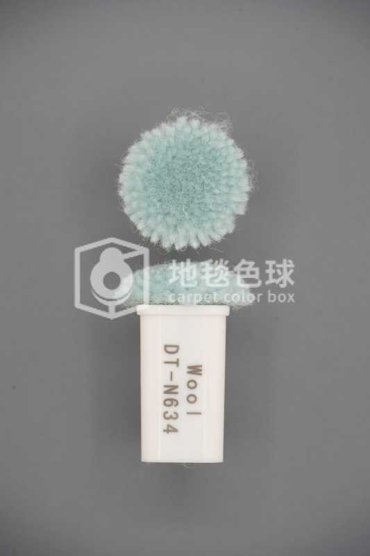 DT N634