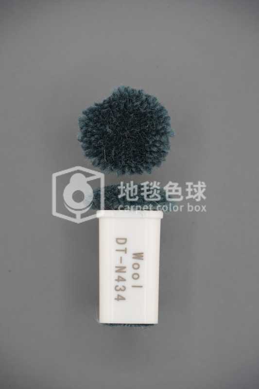 DT N434