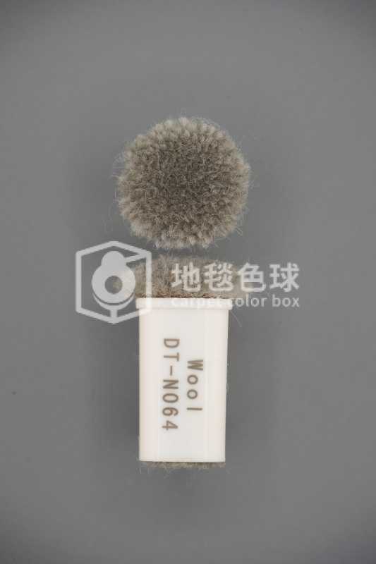 DT N064