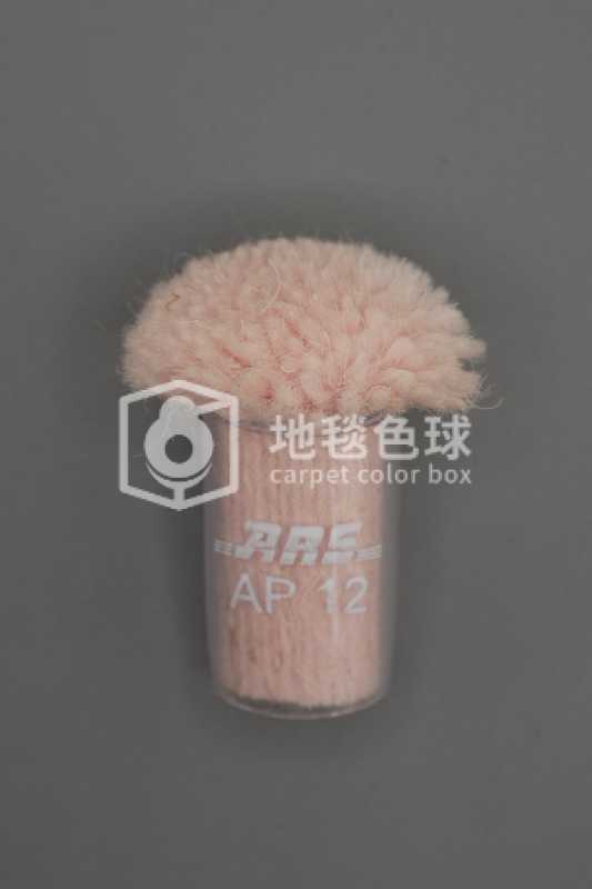 ARS AP12