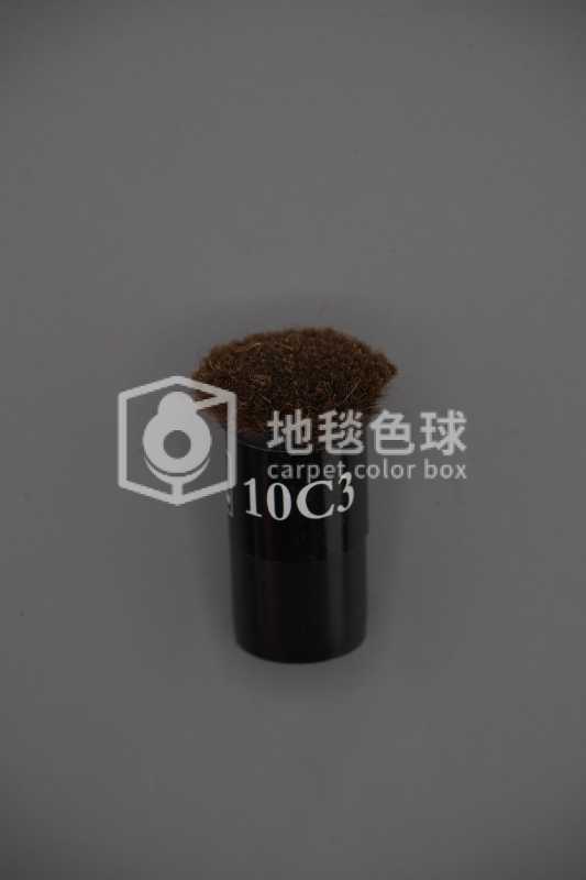 10C3