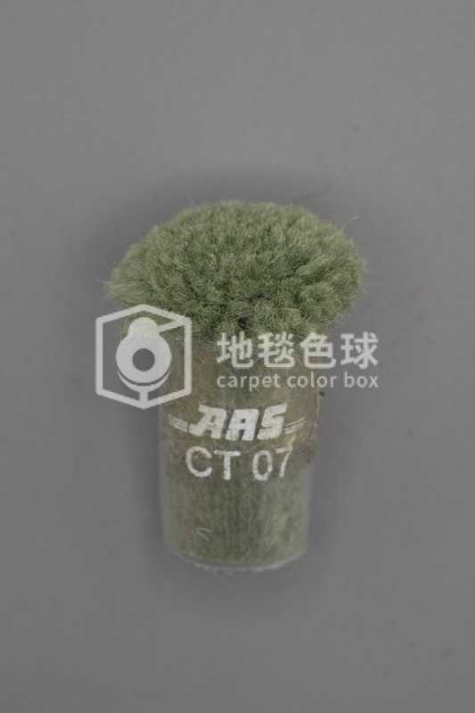 ARS CT07