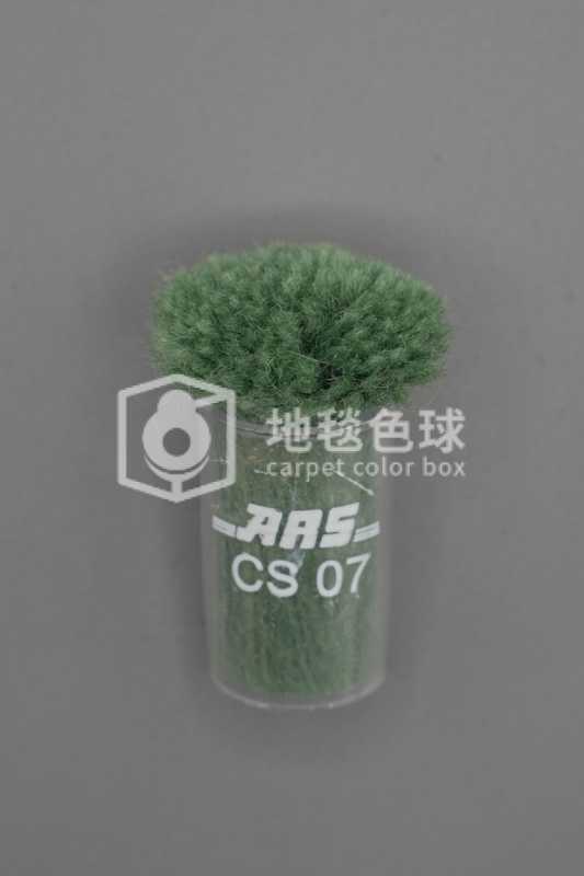 ARS CS07