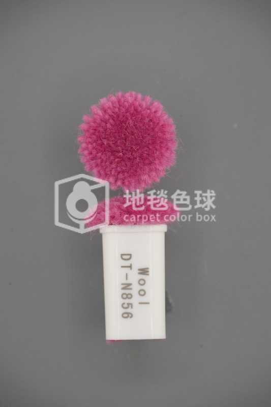 DT N856