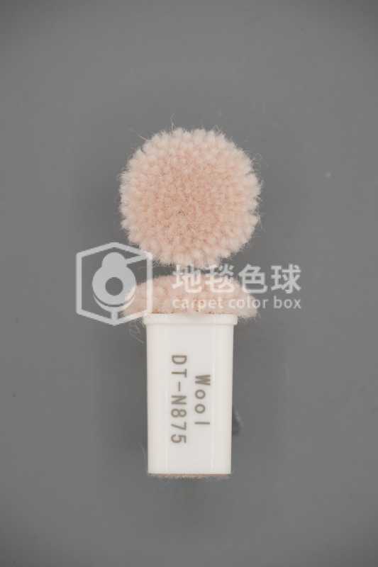 DT N875
