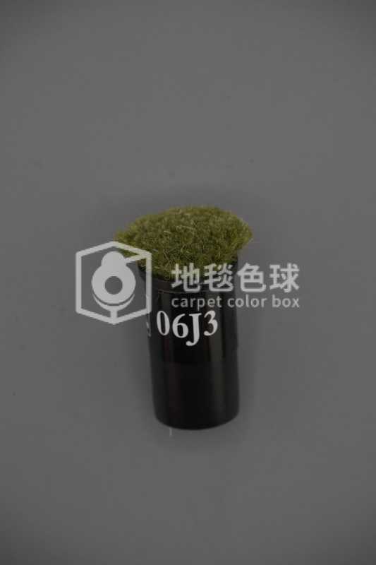 06J3