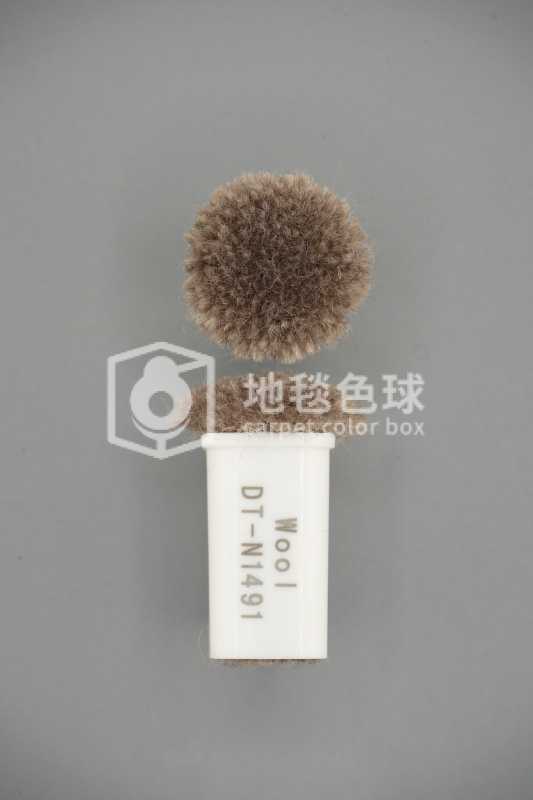 DT N1491