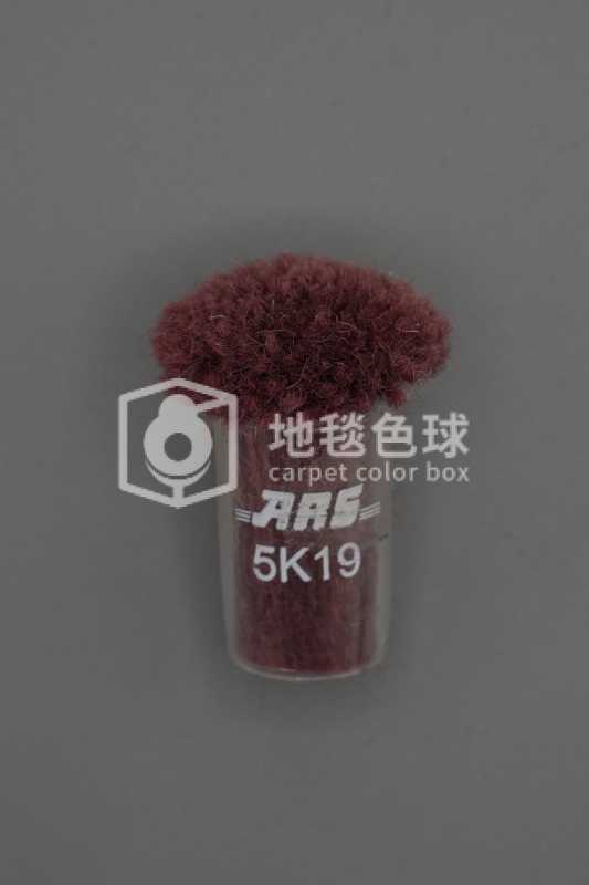 ARS 5K19