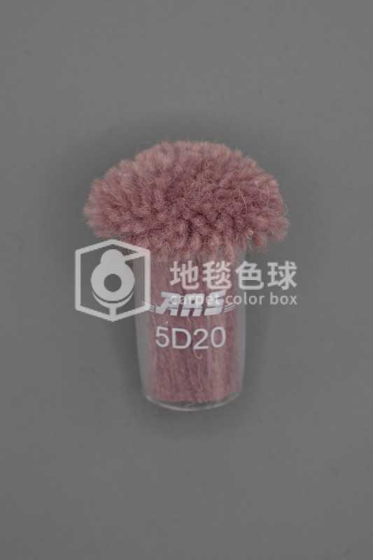 ARS 5D20