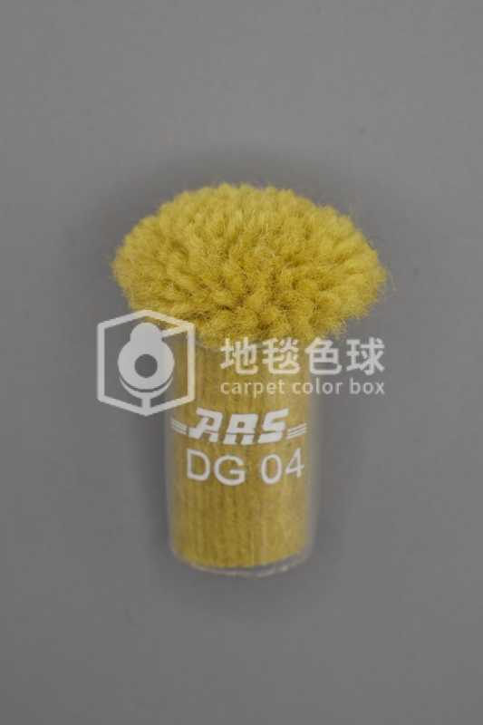ARS DG04