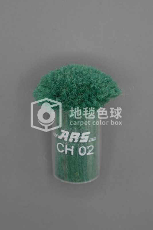 ARS CH02