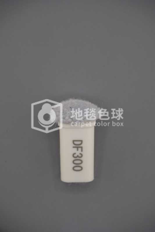 DF300