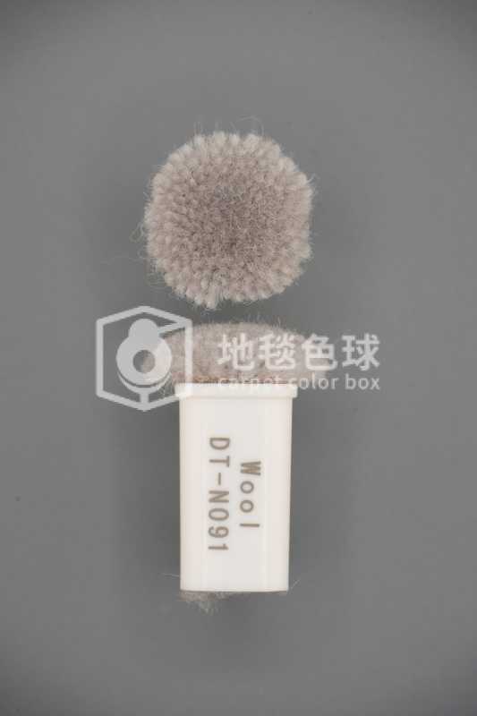 DT N091
