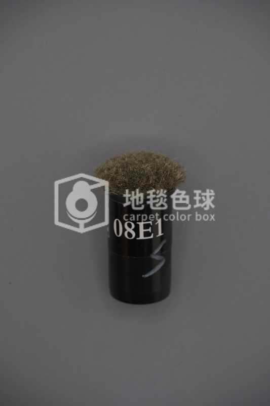 08E1