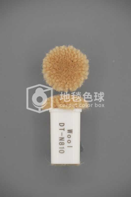 DT N810