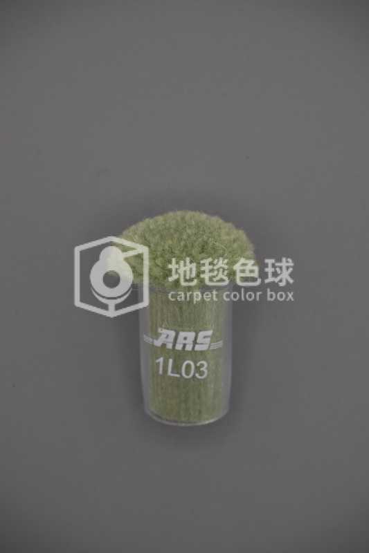 ARS 1L03