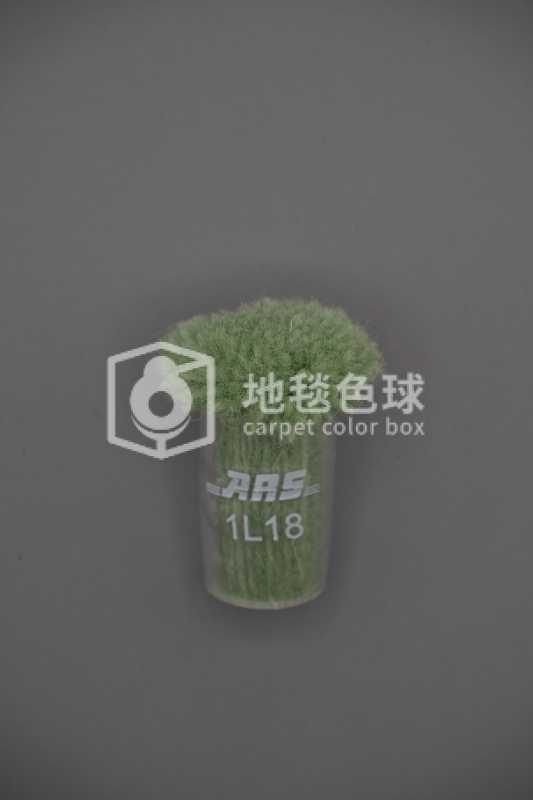 ARS 1L18