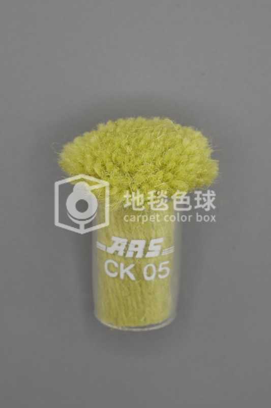 ARS CK05