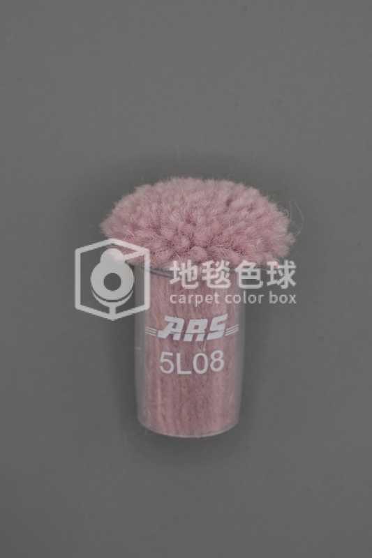 ARS 5L08