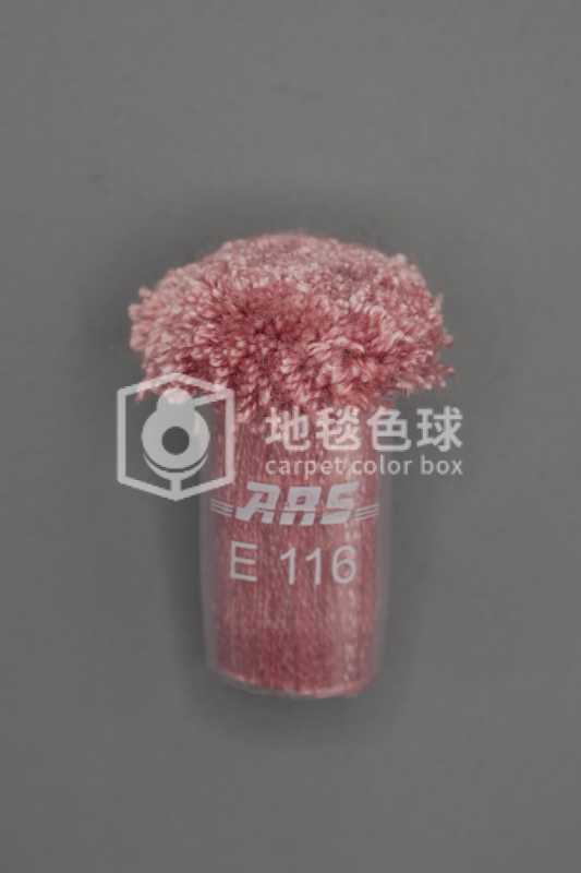 ARS E116