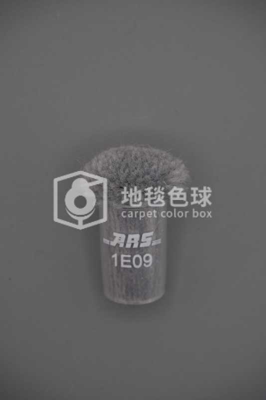 ARS 1E09