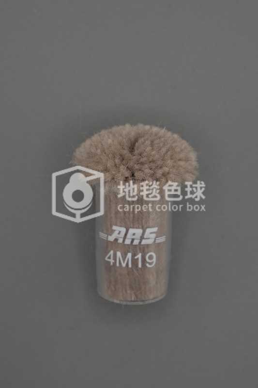 ARS 4M19