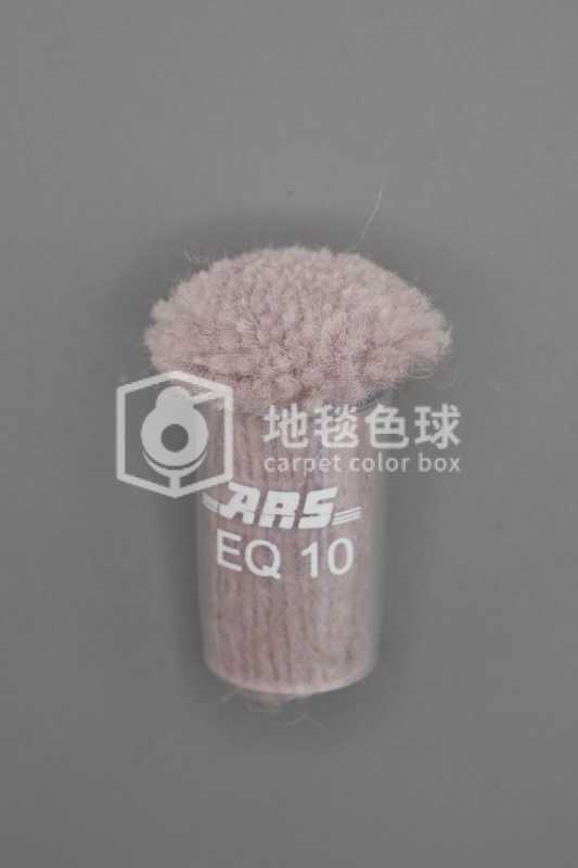 ARS EQ10