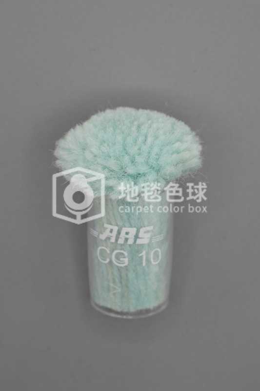 ARS CG10