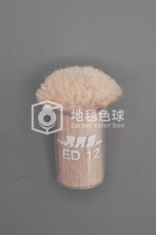 ARS ED12