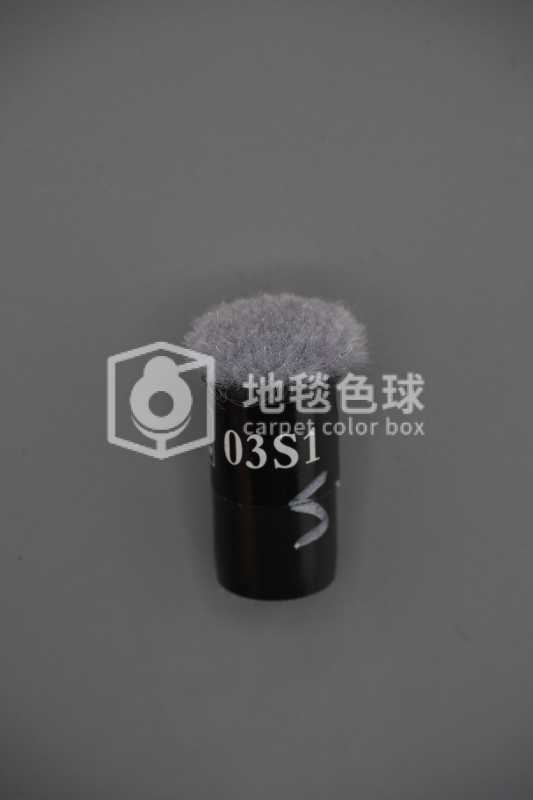 03S1