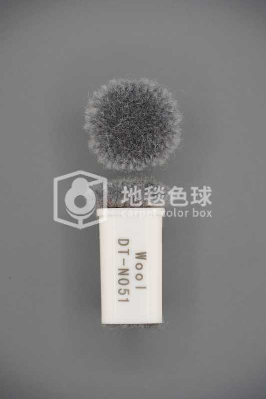 DT N051