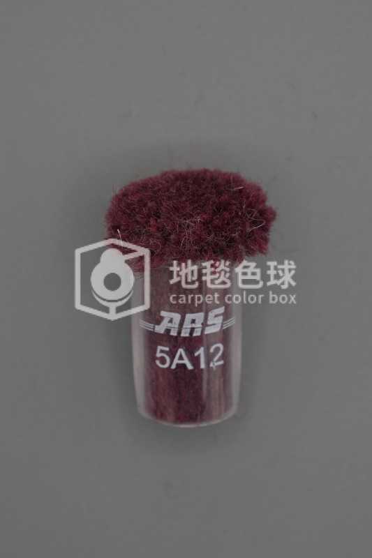 ARS 5A12